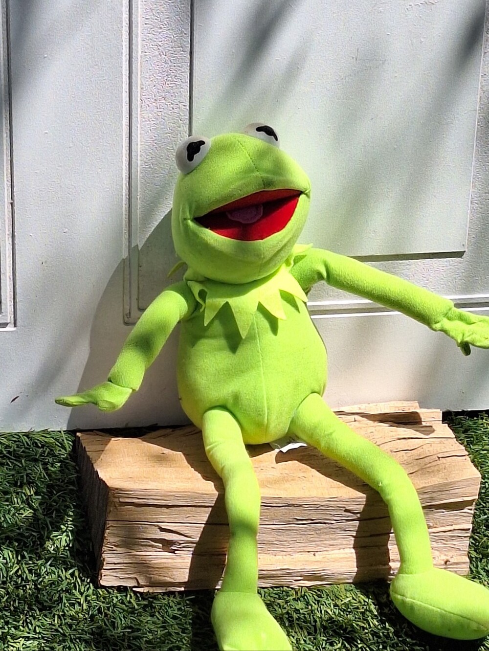 Official Disney Store Kermit the Frog Plush 2007 - Picture 2 of 11
